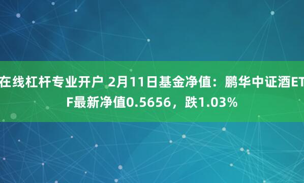 在线杠杆专业开户 2月11日基金净值：鹏华中证酒ETF最新净值0.5656，跌1.03%