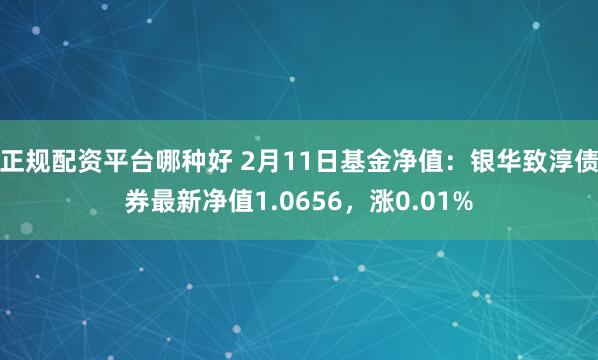 正规配资平台哪种好 2月11日基金净值：银华致淳债券最新净值1.0656，涨0.01%