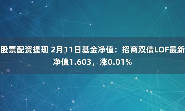 股票配资提现 2月11日基金净值：招商双债LOF最新净值1.603，涨0.01%