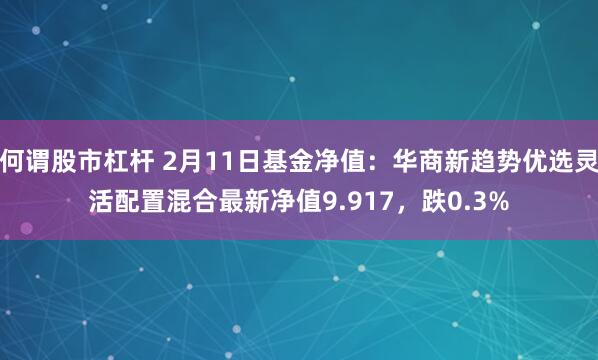 何谓股市杠杆 2月11日基金净值：华商新趋势优选灵活配置混合最新净值9.917，跌0.3%