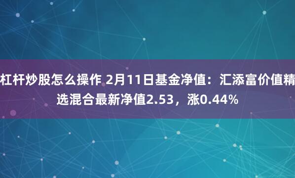 杠杆炒股怎么操作 2月11日基金净值：汇添富价值精选混合最新净值2.53，涨0.44%