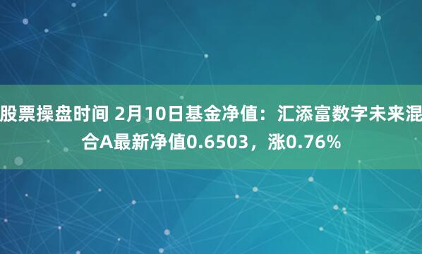 股票操盘时间 2月10日基金净值：汇添富数字未来混合A最新净值0.6503，涨0.76%