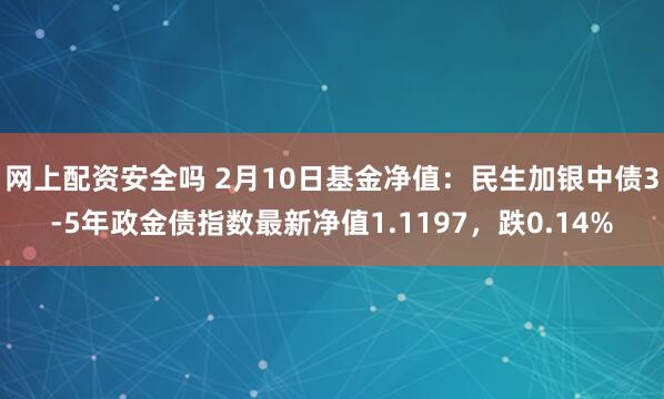 网上配资安全吗 2月10日基金净值：民生加银中债3-5年政金债指数最新净值1.1197，跌0.14%