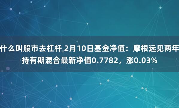 什么叫股市去杠杆 2月10日基金净值：摩根远见两年持有期混合最新净值0.7782，涨0.03%