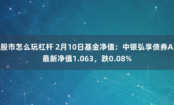 股市怎么玩杠杆 2月10日基金净值：中银弘享债券A最新净值1.063，跌0.08%