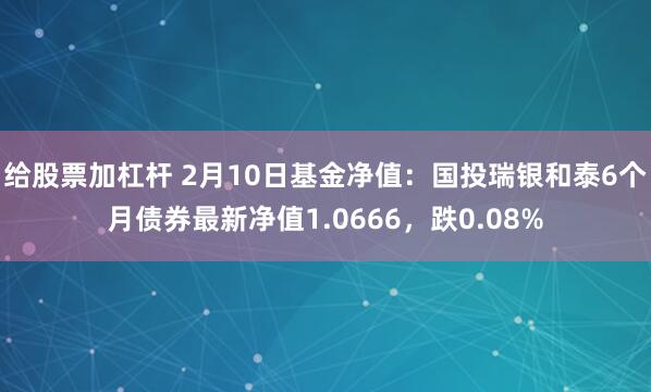 给股票加杠杆 2月10日基金净值：国投瑞银和泰6个月债券最新净值1.0666，跌0.08%