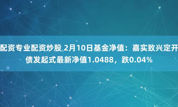 配资专业配资炒股 2月10日基金净值：嘉实致兴定开债发起式最新净值1.0488，跌0.04%