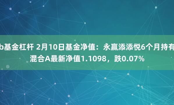 b基金杠杆 2月10日基金净值：永赢添添悦6个月持有混合A最新净值1.1098，跌0.07%