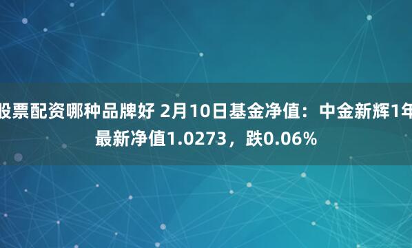 股票配资哪种品牌好 2月10日基金净值：中金新辉1年最新净值1.0273，跌0.06%