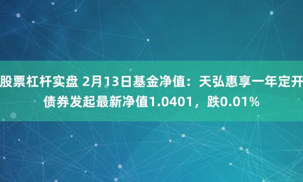 股票杠杆实盘 2月13日基金净值：天弘惠享一年定开债券发起最新净值1.0401，跌0.01%