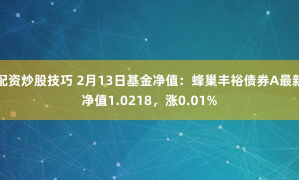 配资炒股技巧 2月13日基金净值：蜂巢丰裕债券A最新净值1.0218，涨0.01%