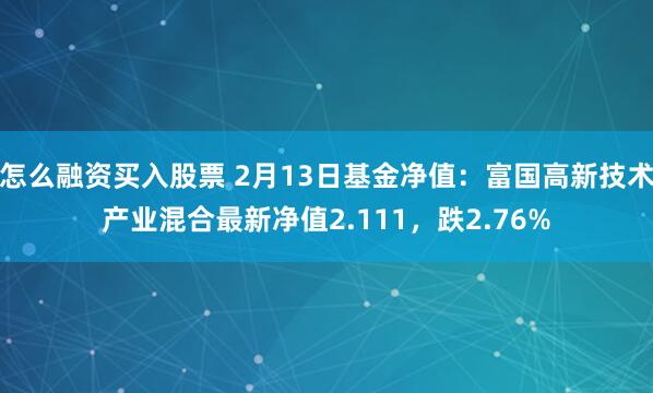 怎么融资买入股票 2月13日基金净值：富国高新技术产业混合最新净值2.111，跌2.76%