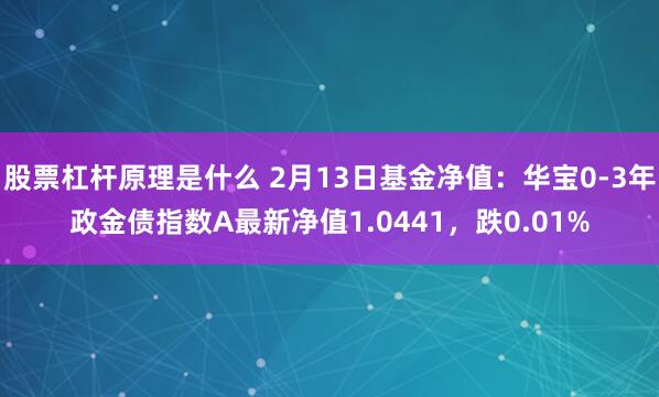 股票杠杆原理是什么 2月13日基金净值：华宝0-3年政金债指数A最新净值1.0441，跌0.01%