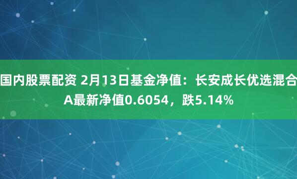 国内股票配资 2月13日基金净值：长安成长优选混合A最新净值0.6054，跌5.14%