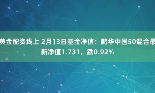 黄金配资线上 2月13日基金净值：鹏华中国50混合最新净值1.731，跌0.92%