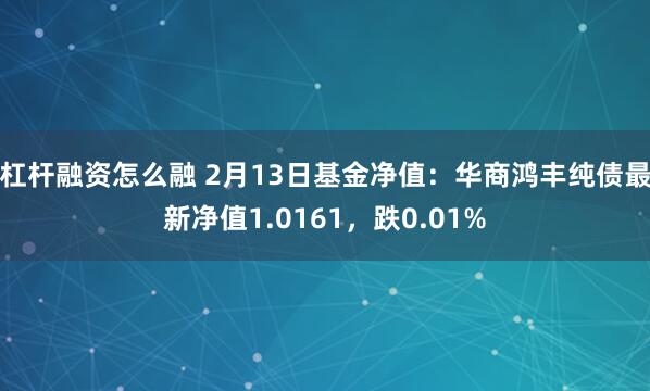 杠杆融资怎么融 2月13日基金净值：华商鸿丰纯债最新净值1.0161，跌0.01%