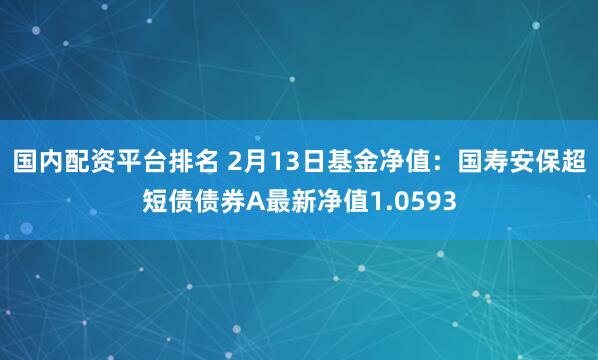 国内配资平台排名 2月13日基金净值：国寿安保超短债债券A最新净值1.0593