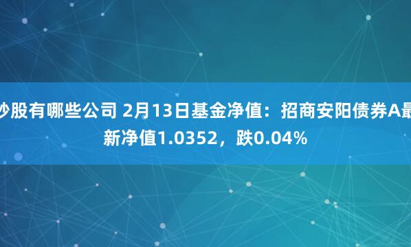 炒股有哪些公司 2月13日基金净值：招商安阳债券A最新净值1.0352，跌0.04%