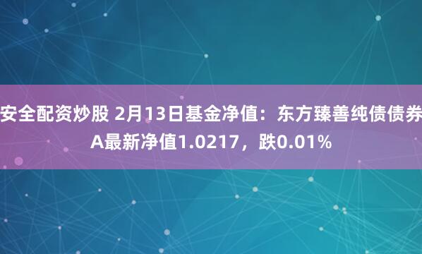 安全配资炒股 2月13日基金净值：东方臻善纯债债券A最新净值1.0217，跌0.01%