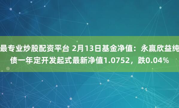 最专业炒股配资平台 2月13日基金净值：永赢欣益纯债一年定开发起式最新净值1.0752，跌0.04%