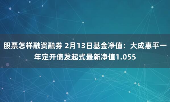 股票怎样融资融券 2月13日基金净值：大成惠平一年定开债发起式最新净值1.055