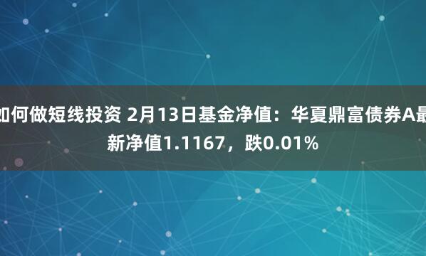 如何做短线投资 2月13日基金净值：华夏鼎富债券A最新净值1.1167，跌0.01%