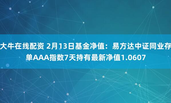 大牛在线配资 2月13日基金净值：易方达中证同业存单AAA指数7天持有最新净值1.0607