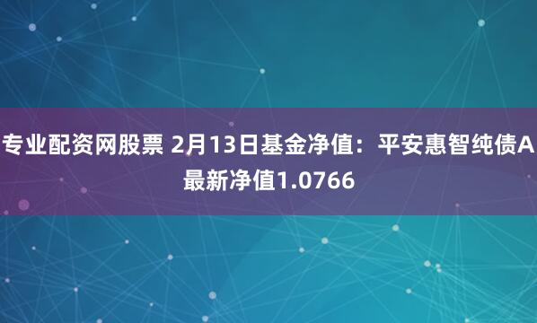 专业配资网股票 2月13日基金净值：平安惠智纯债A最新净值1.0766