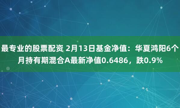 最专业的股票配资 2月13日基金净值：华夏鸿阳6个月持有期混合A最新净值0.6486，跌0.9%