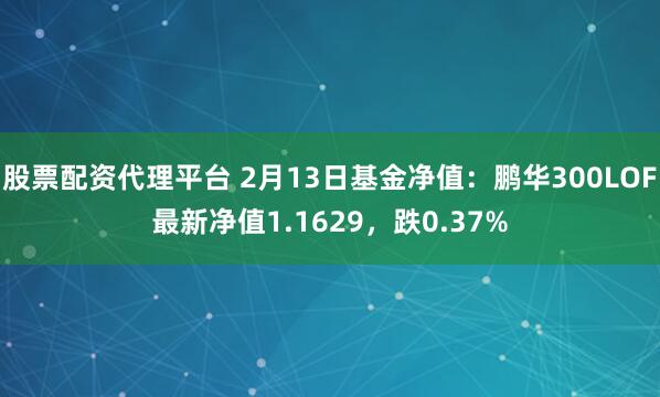 股票配资代理平台 2月13日基金净值：鹏华300LOF最新净值1.1629，跌0.37%