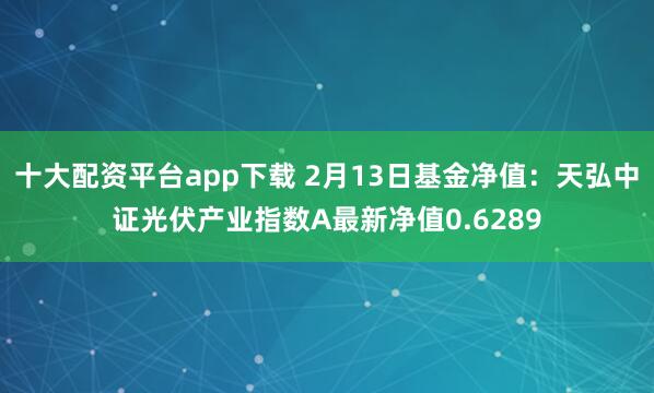 十大配资平台app下载 2月13日基金净值：天弘中证光伏产业指数A最新净值0.6289