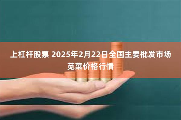 上杠杆股票 2025年2月22日全国主要批发市场苋菜价格行情