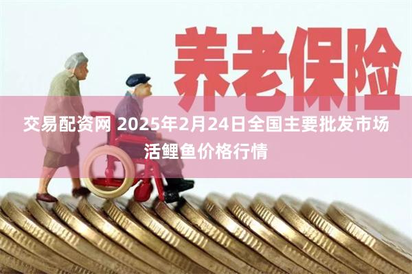 交易配资网 2025年2月24日全国主要批发市场活鲤鱼价格行情