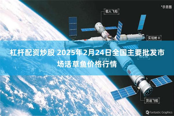 杠杆配资炒股 2025年2月24日全国主要批发市场活草鱼价格行情